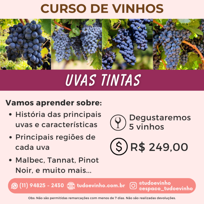 curso principais uvas tintas (24/01)