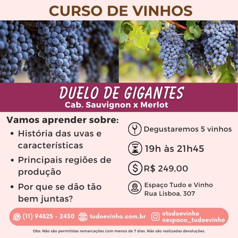 curso duelo de gigantes (13/03)