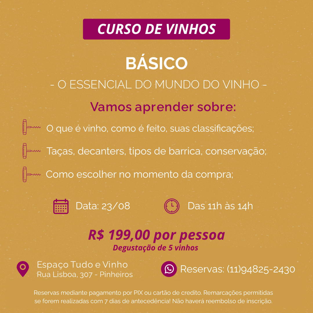 curso básico (09/08) sabado (cópia)