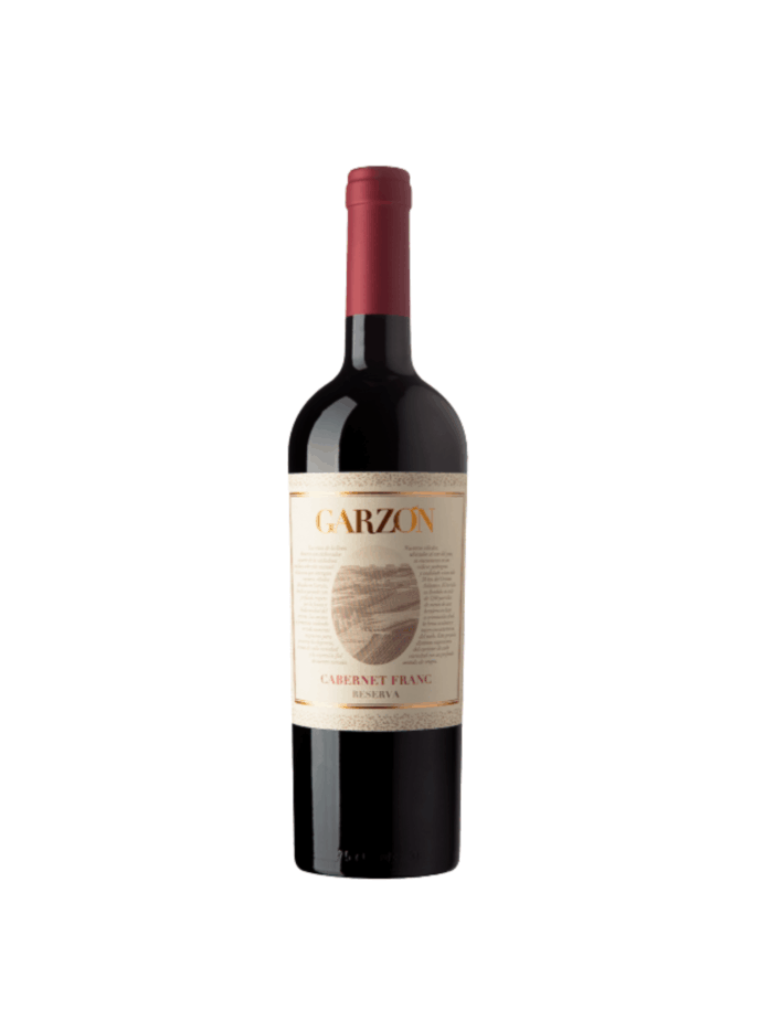 garzon cabernet franc reserva 2021