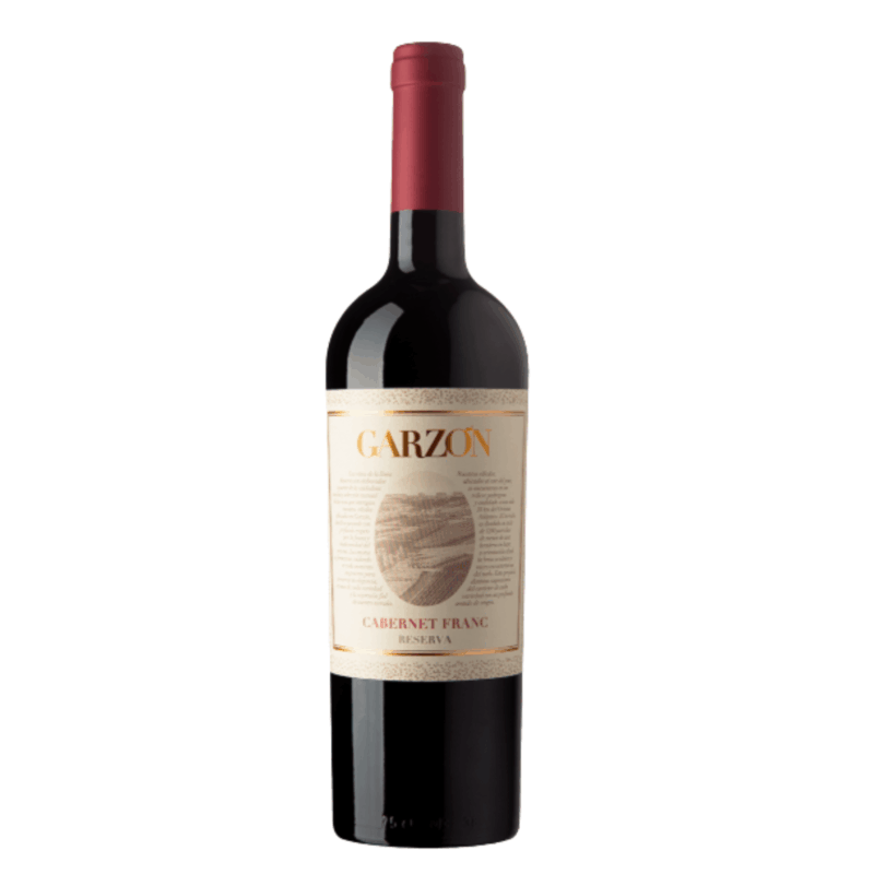 garzon cabernet franc reserva 2021