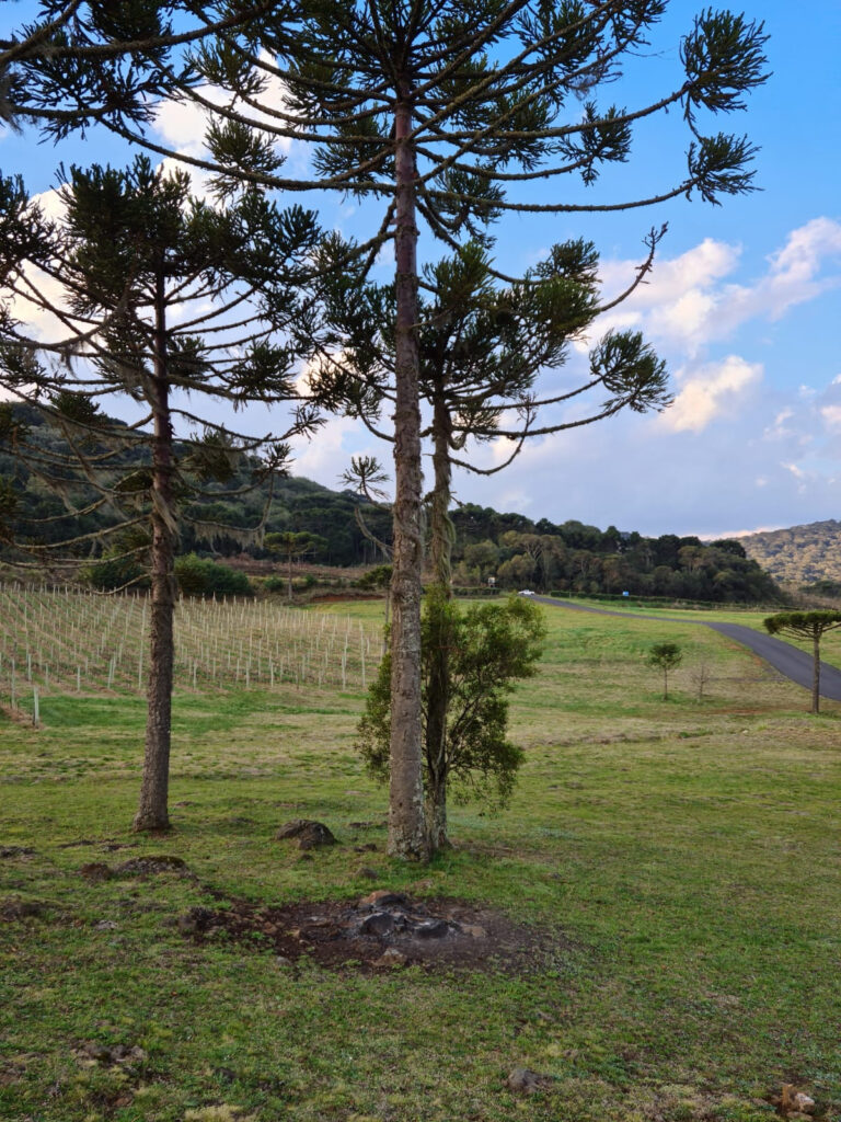 3ea6c950 46de 4ebc a6fc b8f3393406d1