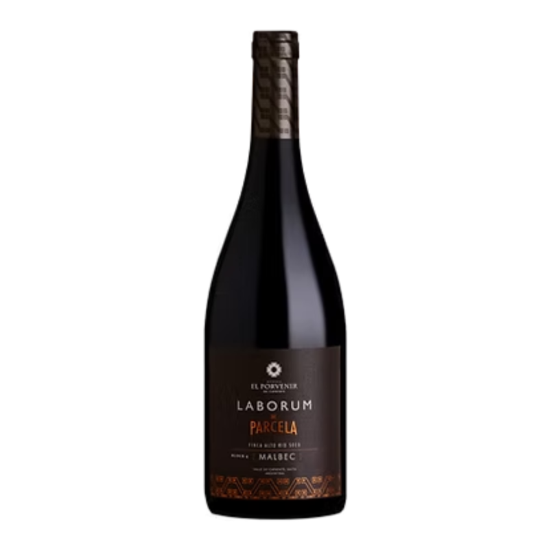 malbec laborum de parcela el porvenir